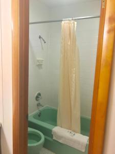 a bathroom with a tub and a toilet and a shower at Economy Inn Alfred Station in Alfred