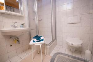 a bathroom with a shower and a toilet and a sink at Gomig Hütte in Obernussdorf