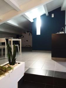 un soggiorno con parete blu e cactus di B&B Sandro Pertini ad Acri