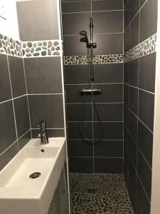 a bathroom with a shower and a sink at Villa Fleurs de France in Criel-sur-Mer +16 photos