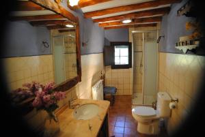 Koupelna v ubytování Apartaments turistics Moli Can Coll