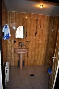 a bathroom with a sink and a shower with a mirror at Hotel Bilyana in Lovech