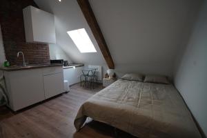 um quarto com uma cama grande e uma cozinha em Guest VIP Annecy Lake em Annecy