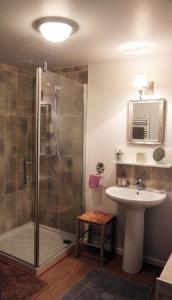 a bathroom with a shower and a sink at La Poussiniere in Auvers-Saint-Georges