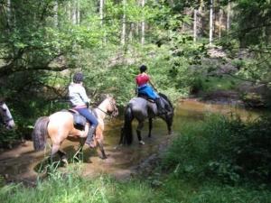 twee mensen die paardrijden op een pad in het bos bij Hotel Aux Massotais in Petites Tailles
