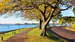 Příroda nedaleko apartmánu