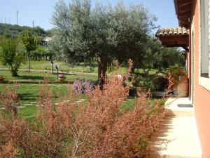 a view of a garden from the side of a house at Agriturismo Il Borgo Degli Ulivi in Roseto degli Abruzzi