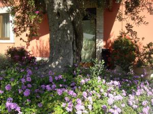 a bunch of flowers in front of a tree at Agriturismo Il Borgo Degli Ulivi in Roseto degli Abruzzi