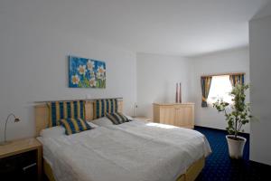 Postel nebo postele na pokoji v ubytování Hotel Allegra