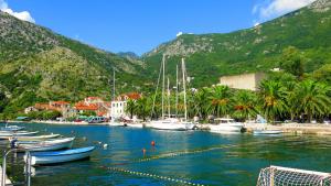 a bunch of boats are docked in a harbor at Apartment San Marco in Risan