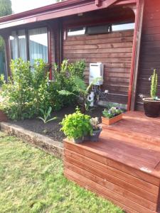 Zahrada ubytování Travellers Retreat B&B