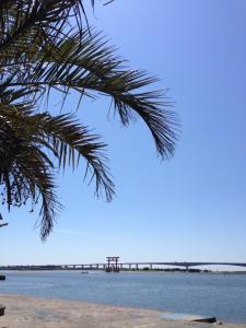 eine Brücke über das Wasser mit einer Palme in der Unterkunft Minshuku Takahashi Kashibuneten in Maisaka