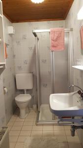 キルヒベルク・イン・チロルにあるHaus Sonnheimのバスルーム(トイレ、シャワー、シンク付)