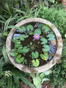 Vườn quanh Sergeant House Boutique Villa & Private Beach
