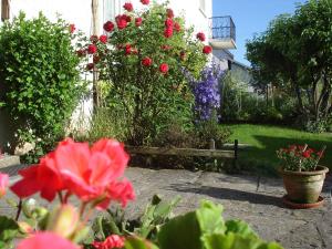 a garden with red flowers and a fence at gite Loca in Provenchère +2 photos