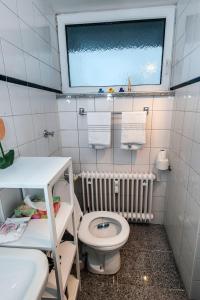 a bathroom with a toilet and a sink and a window at Lovely studio in Augsburg in Augsburg +13 photos