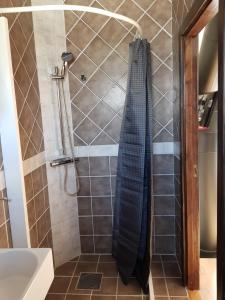 a shower with a blue shower curtain in a bathroom at Villa Rosenlund in Malmö