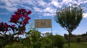 A garden outside Bed and Breakfast Posserle