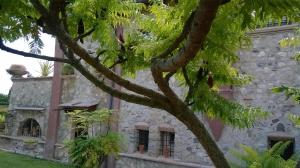 A garden outside Bed and Breakfast Posserle