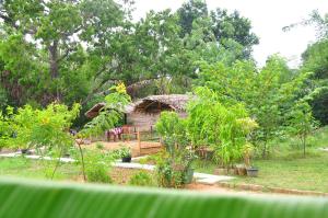 Zahrada ubytování Sigiriya Amenity Home Stay