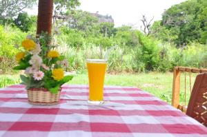 Nápoje v ubytování Sigiriya Amenity Home Stay