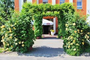 Zahrada ubytování Hotel Bursztyn