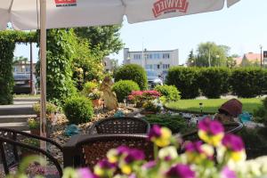 Zahrada ubytování Hotel Bursztyn