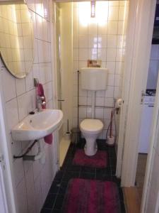 a small bathroom with a sink and a toilet at Appartement centrum Groningen in Groningen