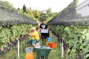 入住提美公寓酒店的旅客