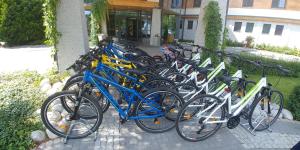 Jazda na bicykli v okolí ubytovania Hotel Czarny Potok Resort SPA & Conference