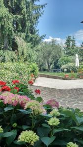 デセンツァーノ・デル・ガルダにあるAppartamento Villa Margheritaの公園内の花の咲く庭園