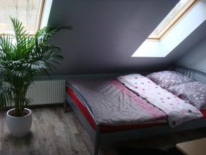 Postel nebo postele na pokoji v ubytování Agromurena