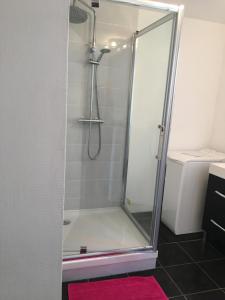 a shower with a glass door in a bathroom at Gite Place De La Fontaine in Hautvillers