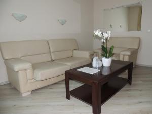 Fotografie z fotogalerie ubytování Guest House Dabi v destinaci Kruševac