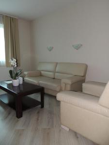 Fotografie z fotogalerie ubytování Guest House Dabi v destinaci Kruševac