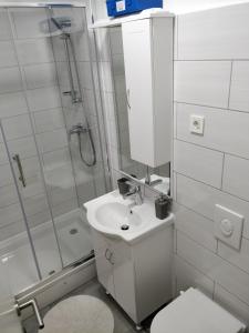 ein Badezimmer mit Toilette, Waschbecken und Dusche in der Unterkunft Savski Gaj in Zagreb
