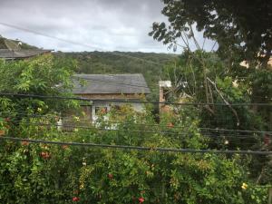 una casa vieja en un jardín con flores en Casa Magna en Itacaré