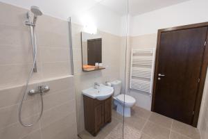 een badkamer met een toilet, een wastafel en een douche bij Montana Studios in Braşov