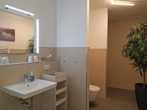a bathroom with a sink and a toilet and a mirror at Toms Kajute in Heiligenhafen +20 photos