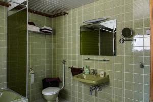 Baño de azulejos verdes con aseo y lavamanos en Apartment Bellevue, en Blieskastel