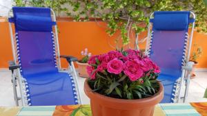 eine Kanne rosa Blumen auf einem Tisch mit Stühlen in der Unterkunft Casa Celeste in Noto