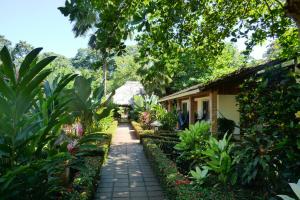 a walkway through a garden next to a house at Escape Caribeño in Puerto Viejo