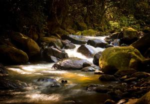 a stream of water with rocks in a forest at Pousada Vila Santa Barbara in São Francisco Xavier