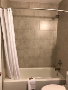 Grizzly Motel tesisinde bir banyo