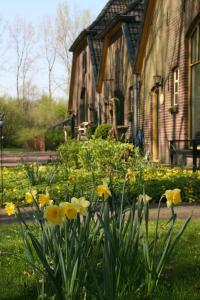 a bunch of yellow flowers in front of a house at Gastenverblijf Eenink in Zelhem