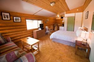 a bedroom with a bed and a couch in a room at Cedar Haven Cabins and Resort in Clearwater