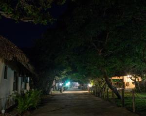 une rue bordée d'arbres la nuit avec des lumières dans l'établissement Vila la Mar Vilanculo, à Vilanculos