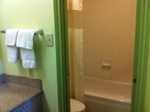 A bathroom at Victorian Inn Midland