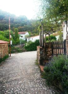 Príroda v okolí of the country house