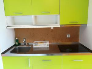 a kitchen with green cabinets and a sink at Simbol Rooms with free private parking in Ljubljana